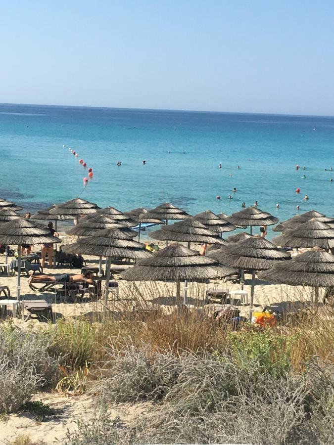 Narcissos 'Nissi Beach' Apartment C12 Ajia Napa Zewnętrze zdjęcie