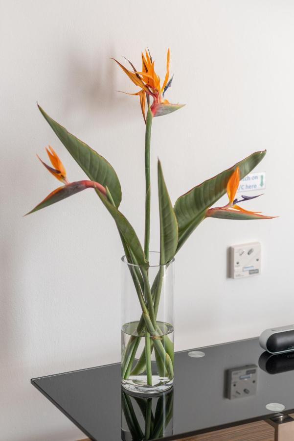 Narcissos 'Nissi Beach' Apartment C12 Ajia Napa Zewnętrze zdjęcie